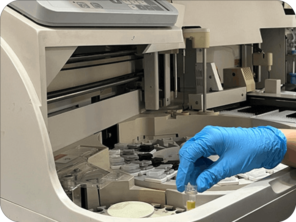Avestalab 1024x768