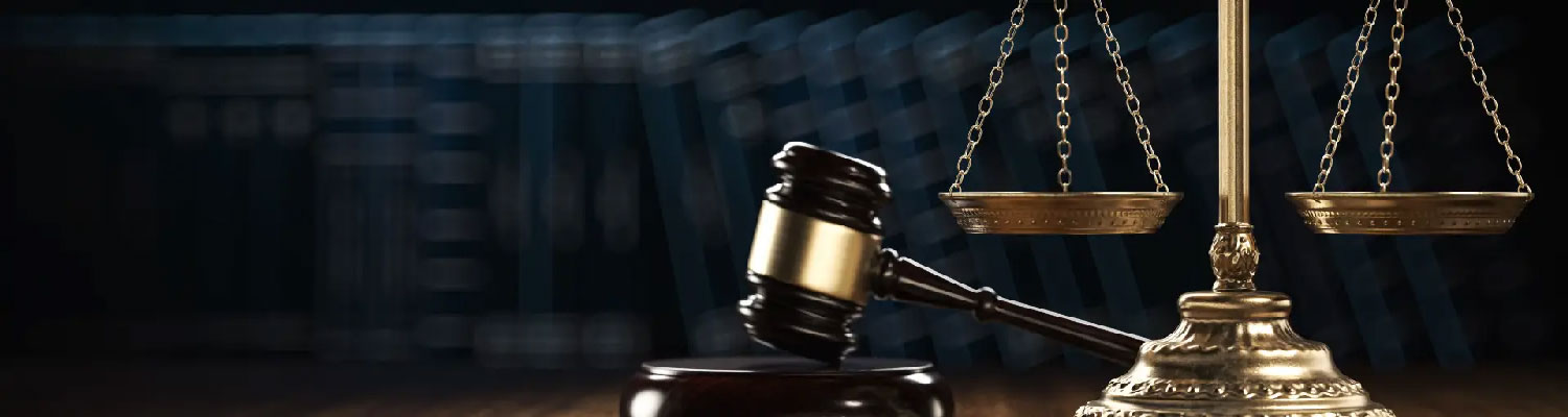 دکتر لیلا کریمانی، وکیل پایه یک دادگستری